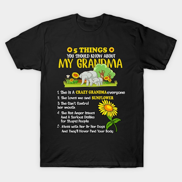 5 Things You Should Know About My Grandma Gifts T-Shirt by Gocnhotrongtoi